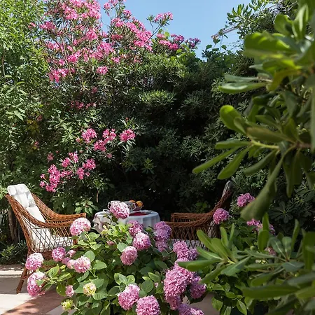 & Primi With Free Parking Pensionat